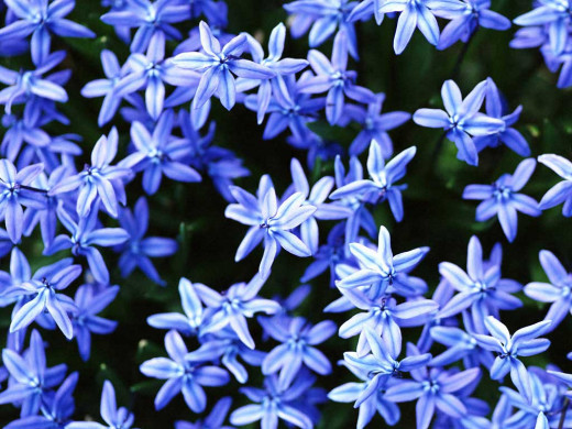 419340 (a): :1024x768